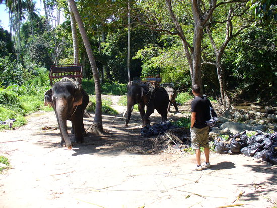 Nur gucken, nicht anfassen!