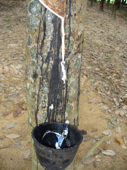 die Schuessel druntergehaengt und