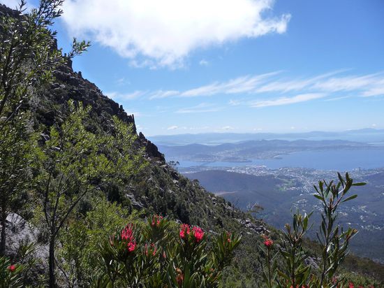 Auf halber Hoehe, obwohl nur 1271m Hoch wirkt der Berg sehr alpin da drumherum Sea-Level...