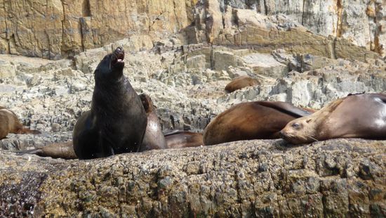 die liegen unten herum und denen ist das alles so lang wie breit...