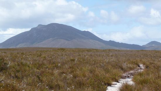 ..innerhalb von kuerzester Zeit ist man dann in der weiten Wildnis von South Tassi... hier uebrigens ausnahmsweise trocken (Luft, Boden Track, halt alles)