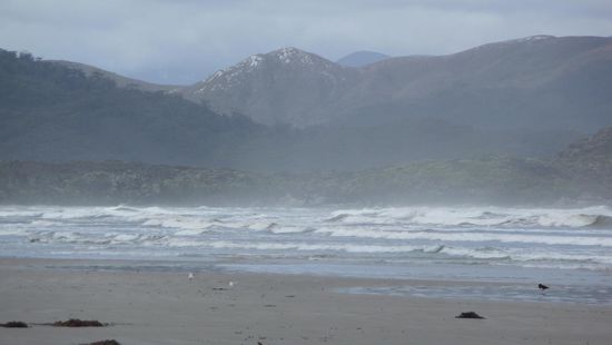 Ziel des ersten Abschnittes ist die Kueste, die Brandung hoert man uebrigens schon recht weit im Landesinnern, den diese ist mal ganz anders als im Mittelmeer oder Asien. Ist halt Suedpazifik und hat richtig Bumms.