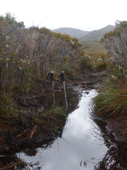 ..wer denkt das bleibt so, der wird dann spaetestens da (s.o.) entaeuscht: Der SC Track ist bekannt fuer seine recht feuchten Abschnitte. Am Anfang kann man die Tiefe des "mud"  noch nicht einschaetzen, ja und wer z.B. da oben reindappt, der ist im wahrsten Sinne des Wortes "angemudded". Bloed: Drumherum geht oft nicht, also muss man mitten durch. Gut: Es kommen ja Flussdurchquerungen, da wird man dann wieder sauber gespuelt 