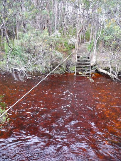 ...aber nicht so schlimm, man kommt irgendwann zu einer Flussdurchquerung, das Seil ist zur Sicherheit gegen "Fortspuelen" da. Hier gibt es dann "Wet Socks ", der Mud ist aber weg. Schuhe etc ausziehen bringt nix, weil ist eh schon schon nass. Der Braunton des Wassers kommt von einer Wurzel eines Baumes. ISt so wie es da vorbeifliesst absolut trinkbar (ohne Aufbereitung) und schmeckt auch gut.