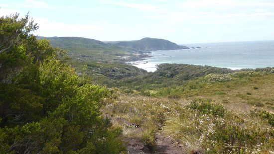 ..irgendwann ist dann die Kueste wieder in Sicht... und ja , "freu"