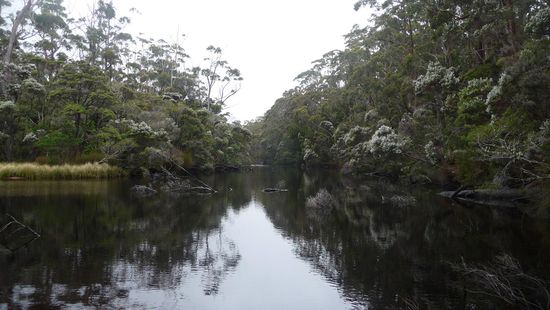 Letzte Campsite vor Verlassen des Nationalparks. Blick ins Landesinnere...
