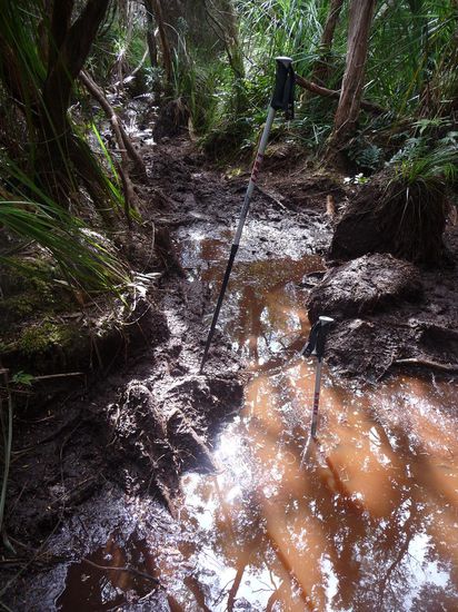 ..dies war mein tiefster Mud-Plumps, huefttief, siehe Walking Stick