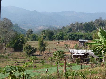 Landschaft zw. Chiang Mai und Pai nur wenige kilomter noerdlich