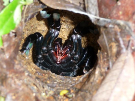 Da schau her, die Tekla, sogar extra fein huebsch gemacht (ok, ein bisschen zu sattes Rot auf den Lippen, aber fuer Thailand ok)