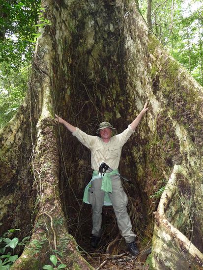 Hier ein riesen CO2 Fass, Ausfuehrung Baum 200J alt