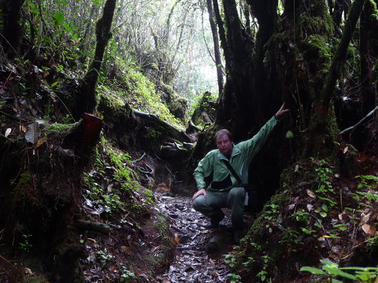 Selbstauslöserfunktionstest. Der Baum kann nix dafür.