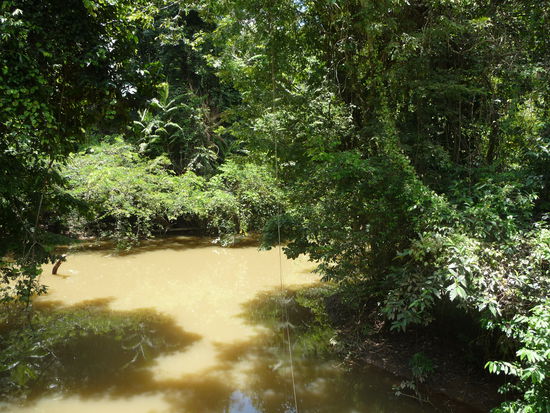 35 Grad, 95% Luftfeuchtigkeit, nett..