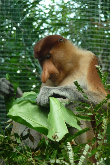 Irgendwie kenne ich das Gesicht aus einem Intranet 