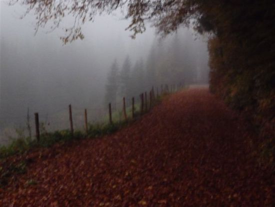 Regen + Nebel = Nullfernsicht