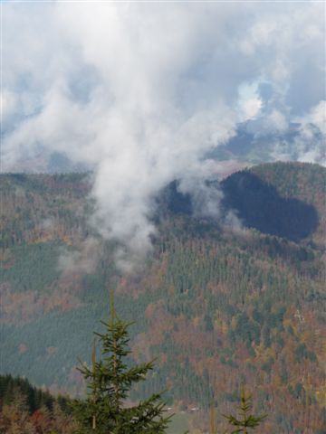 Auf 1300m Höhe gibt es einen fließenden Übergang zwischen Wald und Wolken.