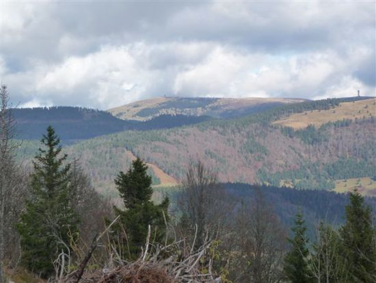 Man sollte sein (Tages)Ziel ja nie aus den Augen verlieren, hier isses der Feldberg. Luftlinie vielleicht noch 7-8km, aber landschaftsbereinigt min. das Doppelte.