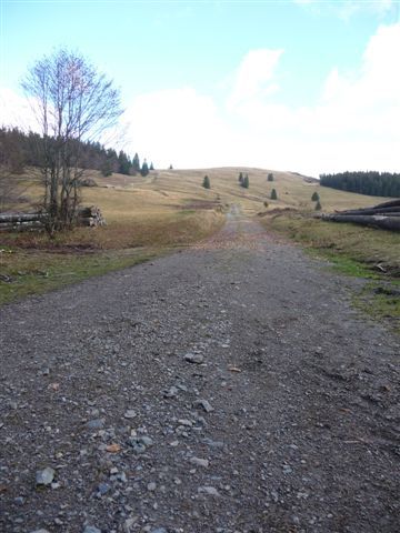 Aufstieg Richtung Feldberg - da geht es mal richtig hoch, und das über min. 2-3km. Werd ich mal mit dem MTB fahren wollen