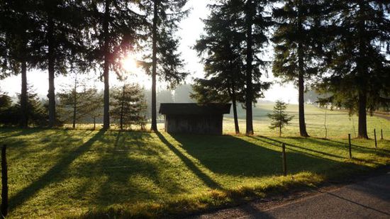 morgens um 8 ist die Welt (zumindest hier) noch in Ordnung. Hier unterwegs nach Hausach.