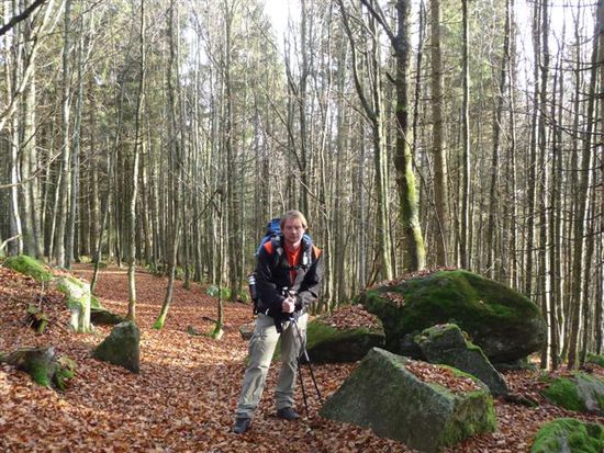 irgend jemand hat mitten im Wald ein paar kleinere Granitsteinchen vergessen