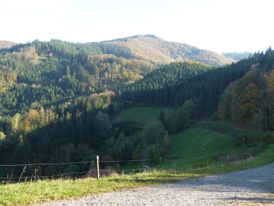 Obwohl es mehrere Wege um den Berg gibt läuft der Westweg genau über die Spitze dieses Berges (hier der Fahrenberg nähe Hausach). Aber das macht ja den Reiz des Westweges aus. Für den kpl. Westweg muss man übrigens mit ca. 12000 Höhenmetern rechnen.