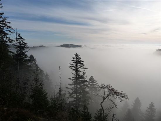 Zwischen Hausach und Freudenstadt: Gigantische Aussicht Richtung Schwäb. Alb, unter mir nur ein Nebelmeer