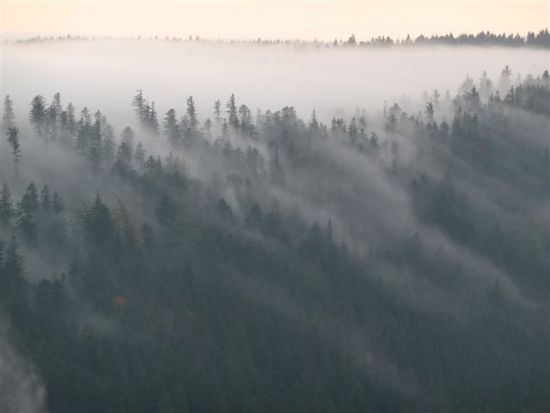 Hier zieht der Nebel vom Bergkamm in das Tal. Sieht mystisch aus. Wer hat schon mal "The Fog" gesehen. Hier Live!