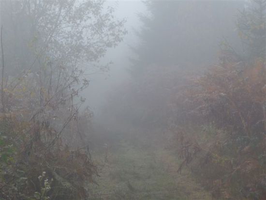 na und so sieht es dann im "Fog" aus...ich finde eine klasse Atmosphäre. Und absolut still - zero , nada, nix zu hören weil alles gedämpft