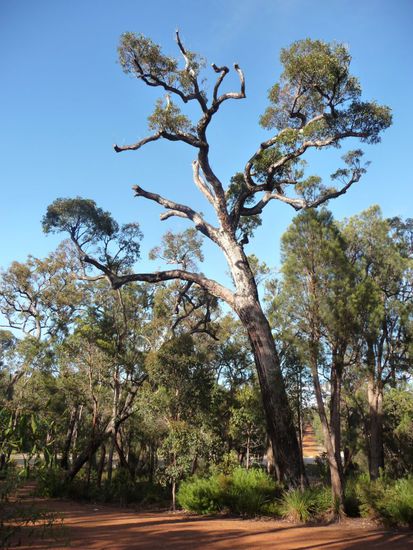 Nationapark im Sueden