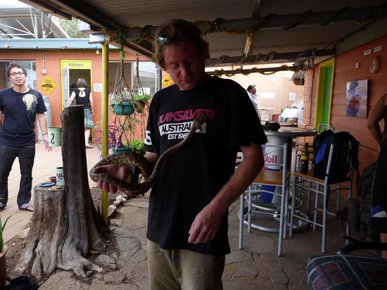 Nette Abwechslung zwischendurch: Kuscheltierstreicheln im Hostel, gehoert der Besitzerin. Angeblich etwas bissig, aber ned gifitg. Also macht nix.
