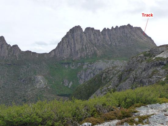 ...Cradle Mountain, im Sportgang kommt man in 2 Std hoch und wieder runter