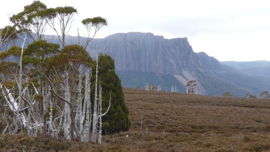 zu diesem Bild faellt mir nix ein, einfach angucken und selbst was ausdenken ...
