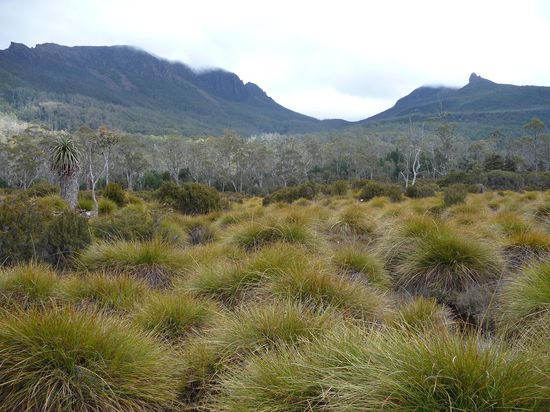 Hier mal eine Fullmoonparty - koennt ich mir recht gut vorstellen (heheh)