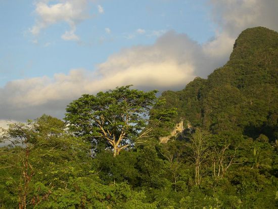 alles tiefgrün hier in Krabi!