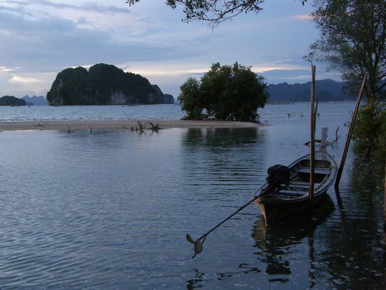 das hauseigene Longtail des Bananas