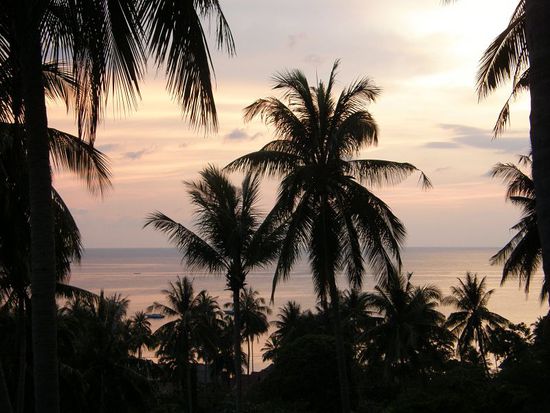 Ausblick vom Pool auf das Meer