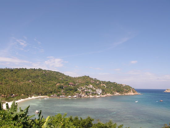 die Shark Bay - hier schwimmen kleine Haie in Strandnähe