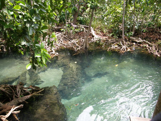 kristallklares Wasser