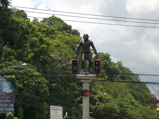 die Affenampel in Krabi