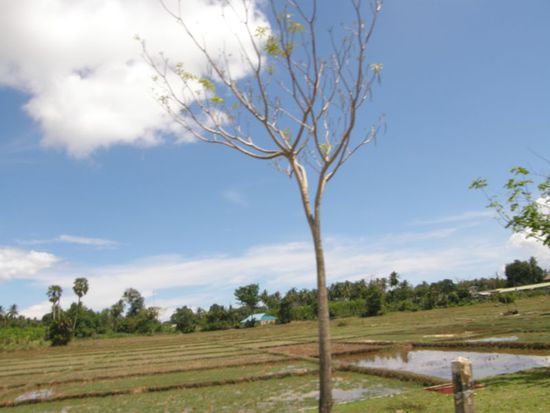 am Wegesrand vom Bike aus geknipst