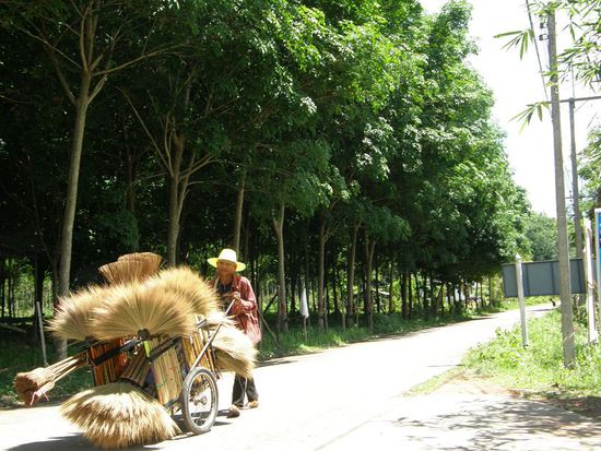 noch jemand ´nen Besen zum mitnehmen???