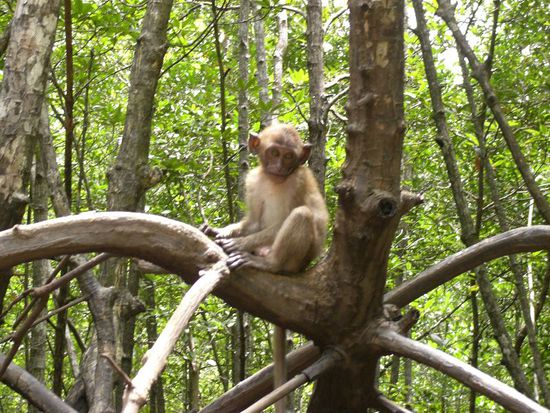seine Blicke verfolgten uns...