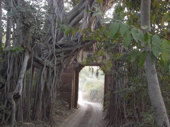 Ranthambore Park