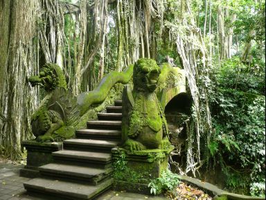 Monkey Forest Ubud