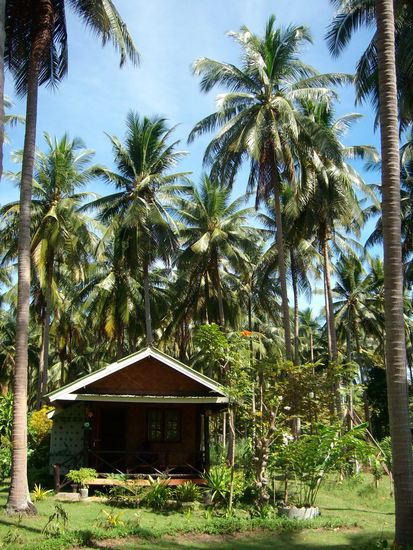 unser erster Bungi....