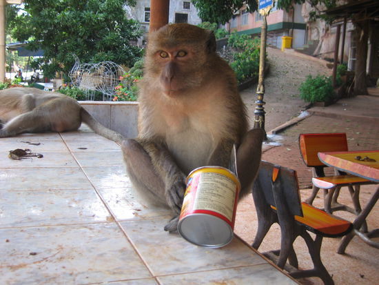 der Autor gruesst alle Leser !!!