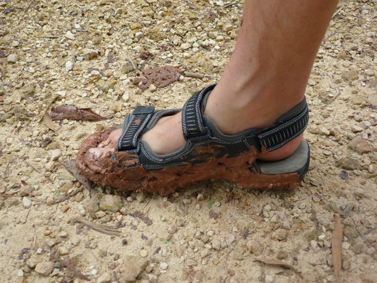 wie man sieht: hier is die Strasse rot "belegt" 