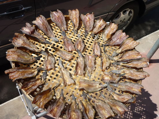 zum Trocknen rausgestellt 