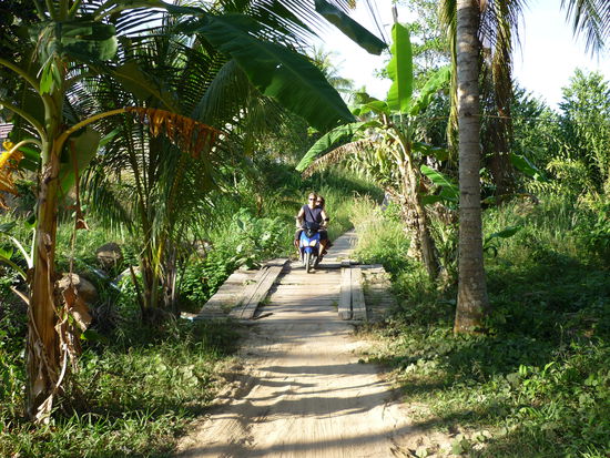 Rückweg - Easy Rider