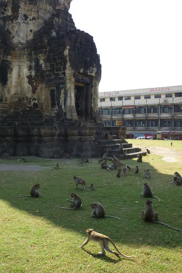 wie gesagt,  Affenstadt - Hannuman laesst gruessen