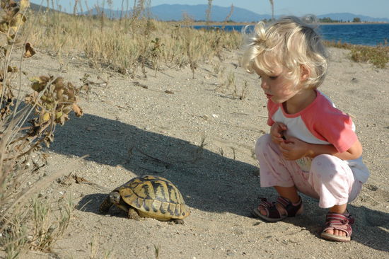 Leonie entdeckt eine Schildkroete
